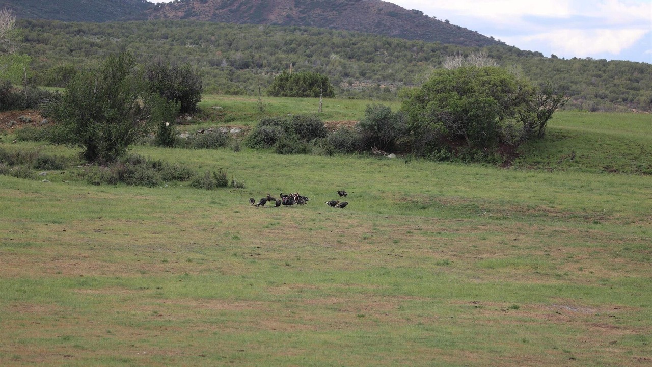 Photo of Outdoor in Paonia