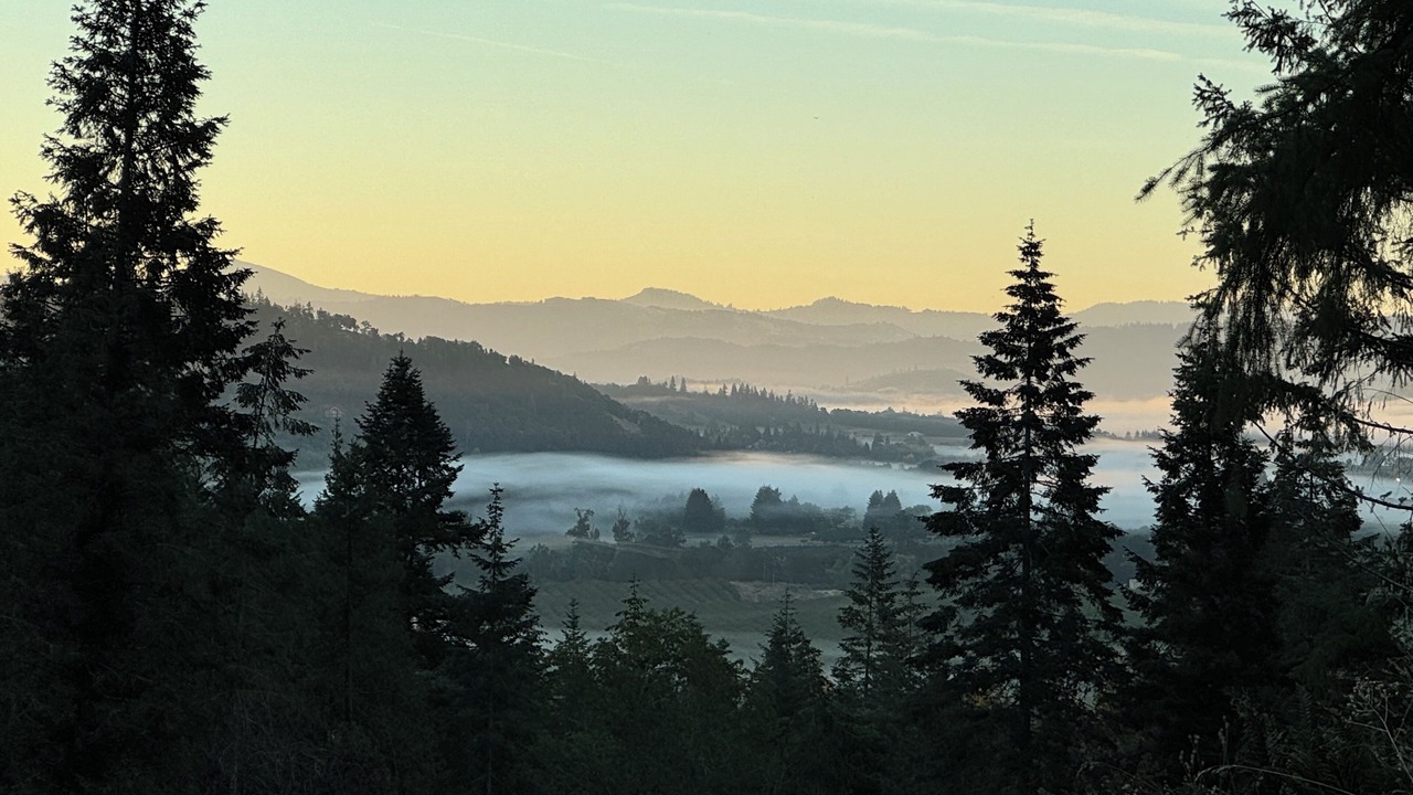 Photo of Others in Roseburg