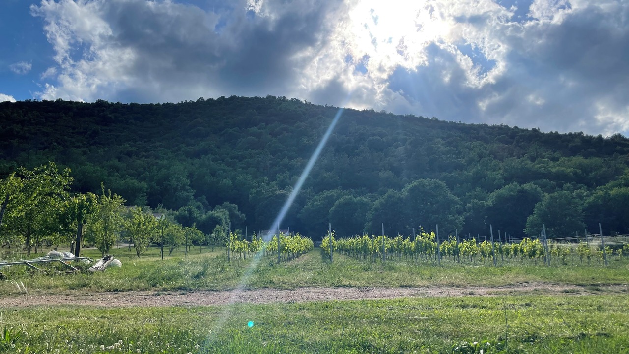 Photo of Others in Riventosa