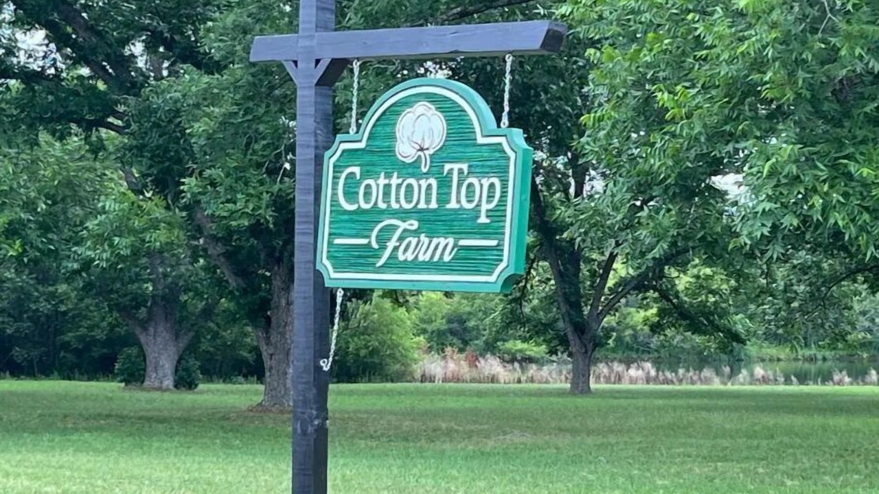 Photo of Outdoor in Sylvester