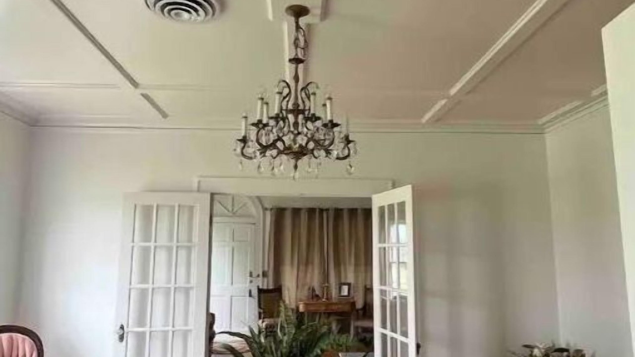 Photo of Others in Sylvester