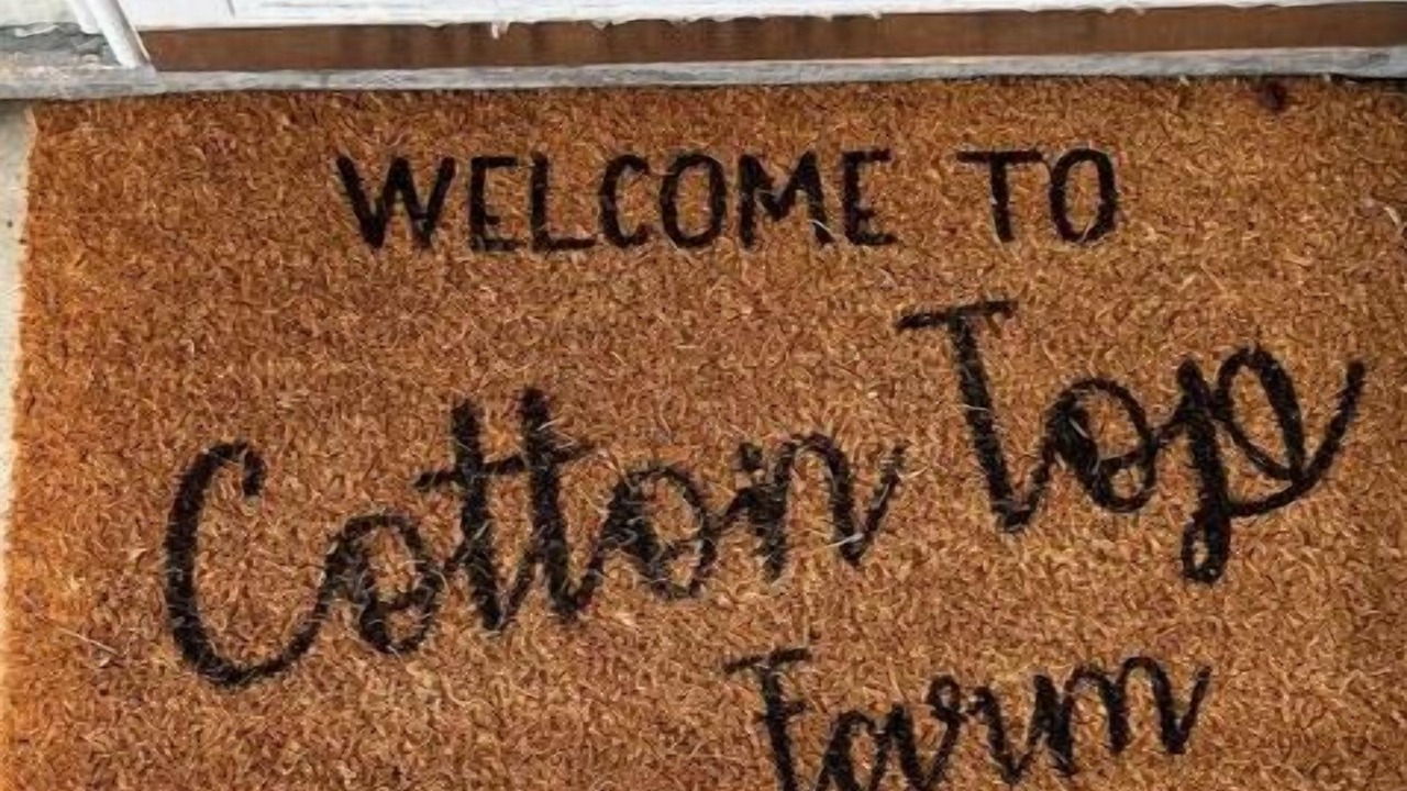 Photo of Outdoor in Sylvester