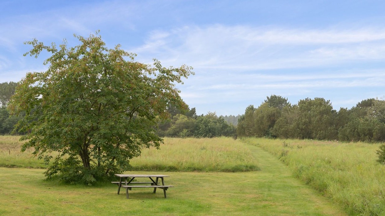 Photo of Others in Farvang