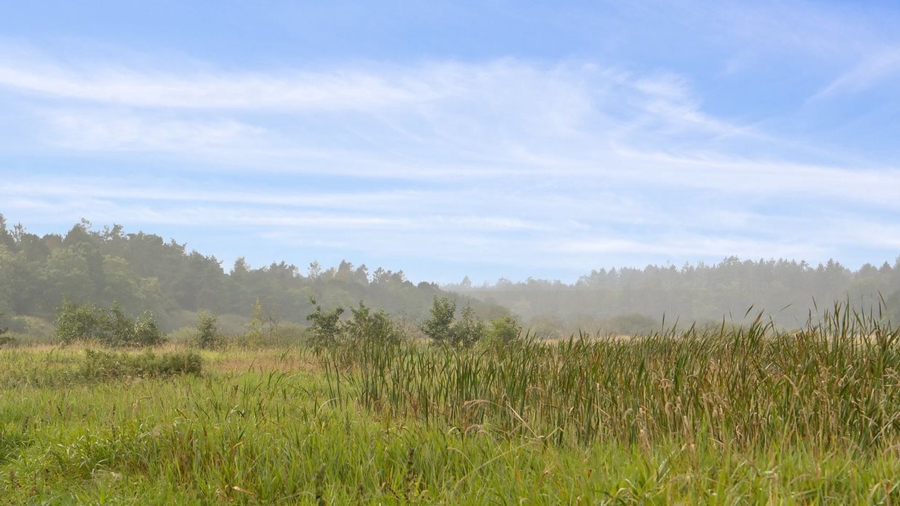 Photo of Outdoor in Farvang