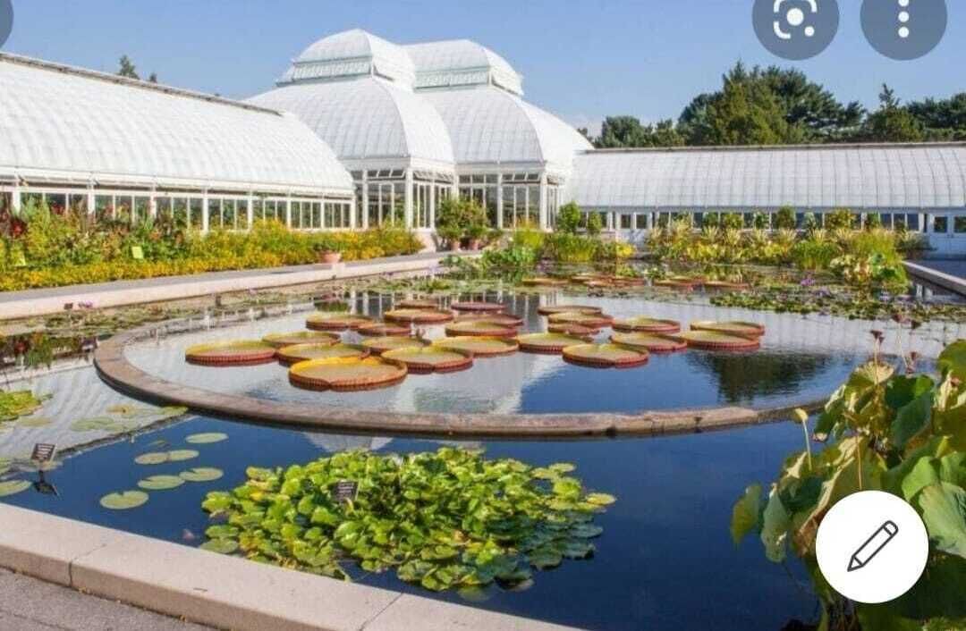 Photo of Outdoor in University Heights