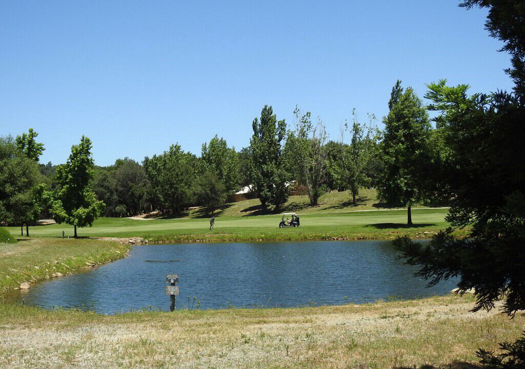 Photo of Others in Angels Camp