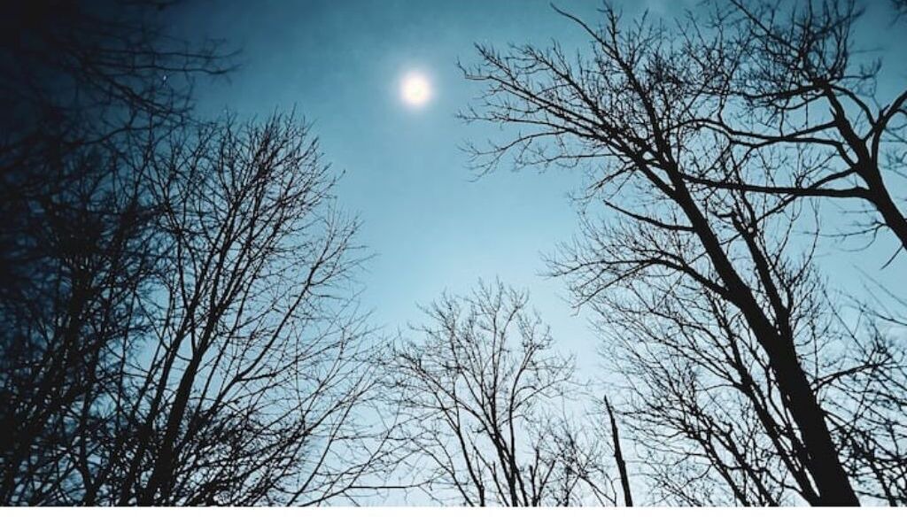 Photo of Outdoor in Smallwood