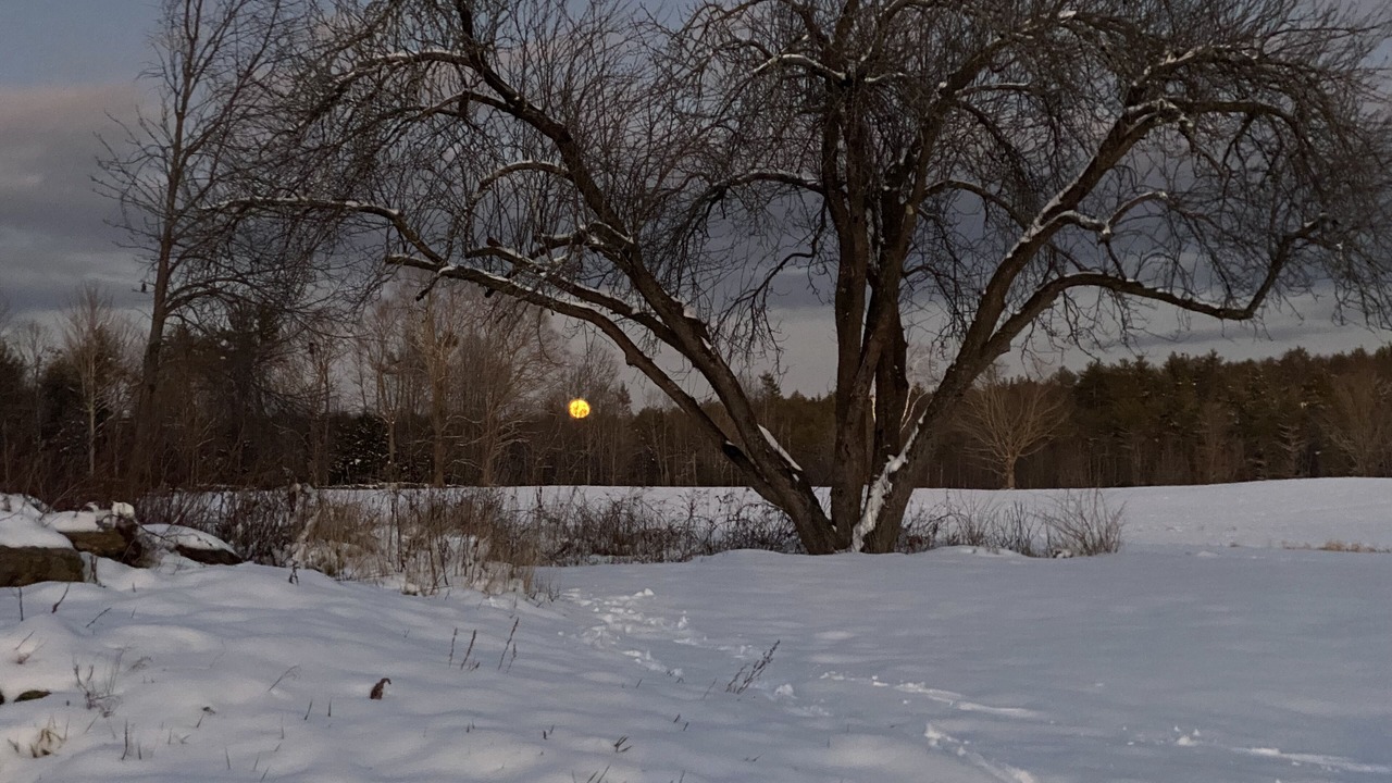 Photo of Others in North Berwick