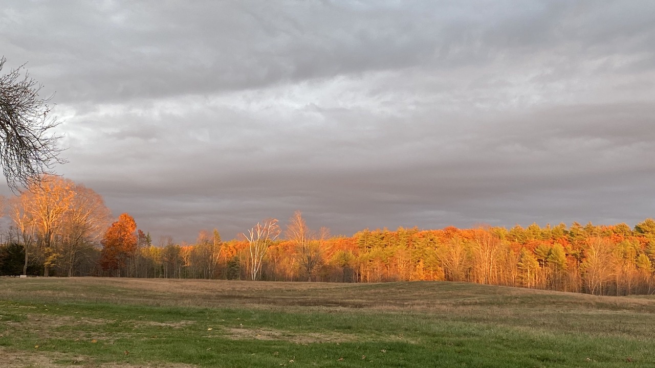 Photo of Others in North Berwick