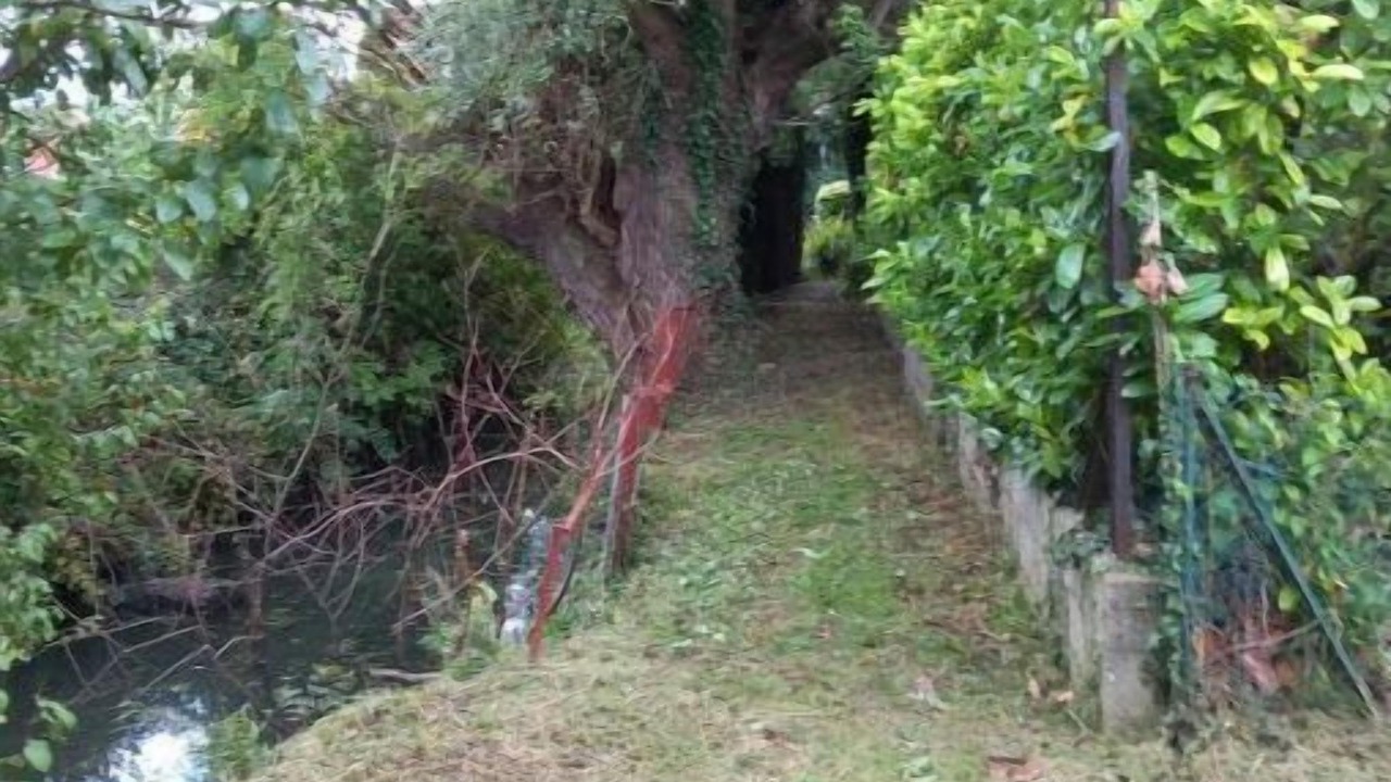 Photo of Outdoor in Saint-Omer