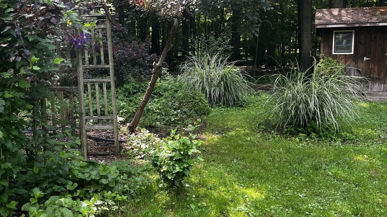 Photo of Outdoor in Lily Dale