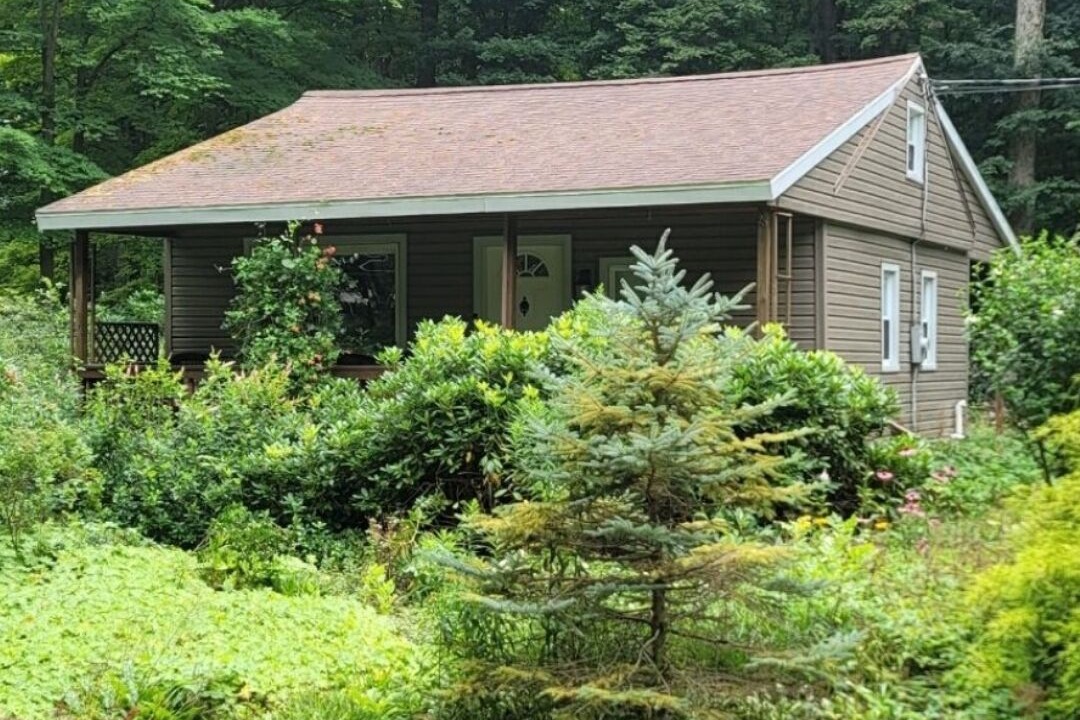 Photo of Outdoor in Lily Dale