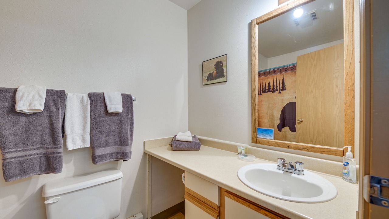 Photo of Bathroom in Cooper Landing