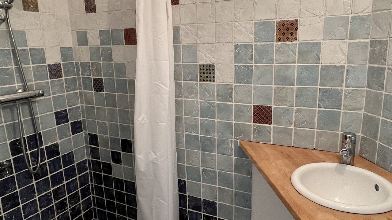 Photo of Bathroom in Valflaunes