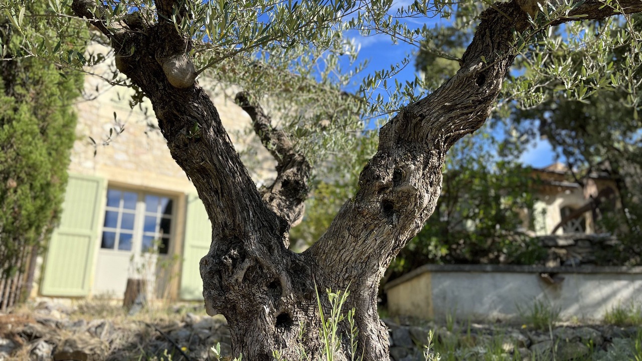 Photo of Outdoor in Valflaunes