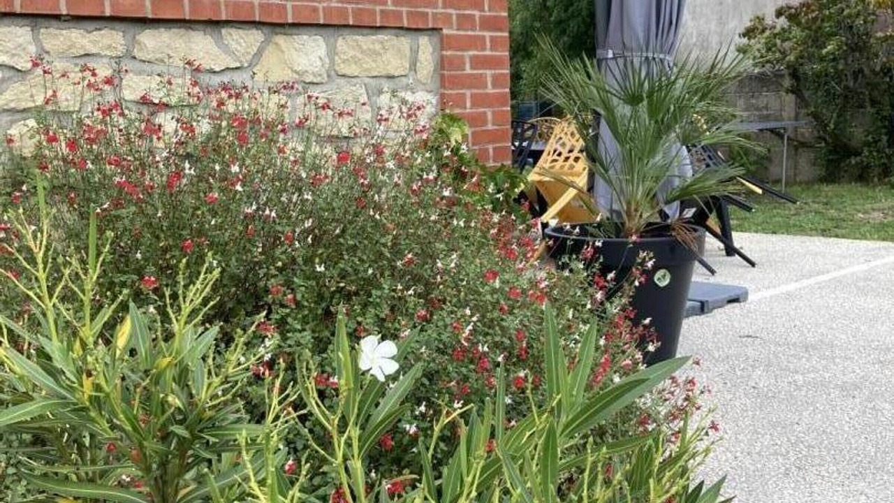 Photo of Outdoor in Sepmes