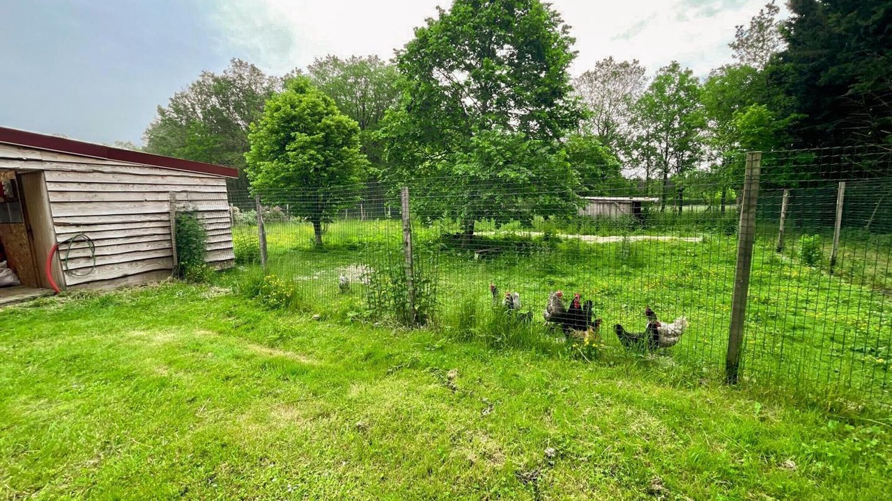Photo of Outdoor in Luzille
