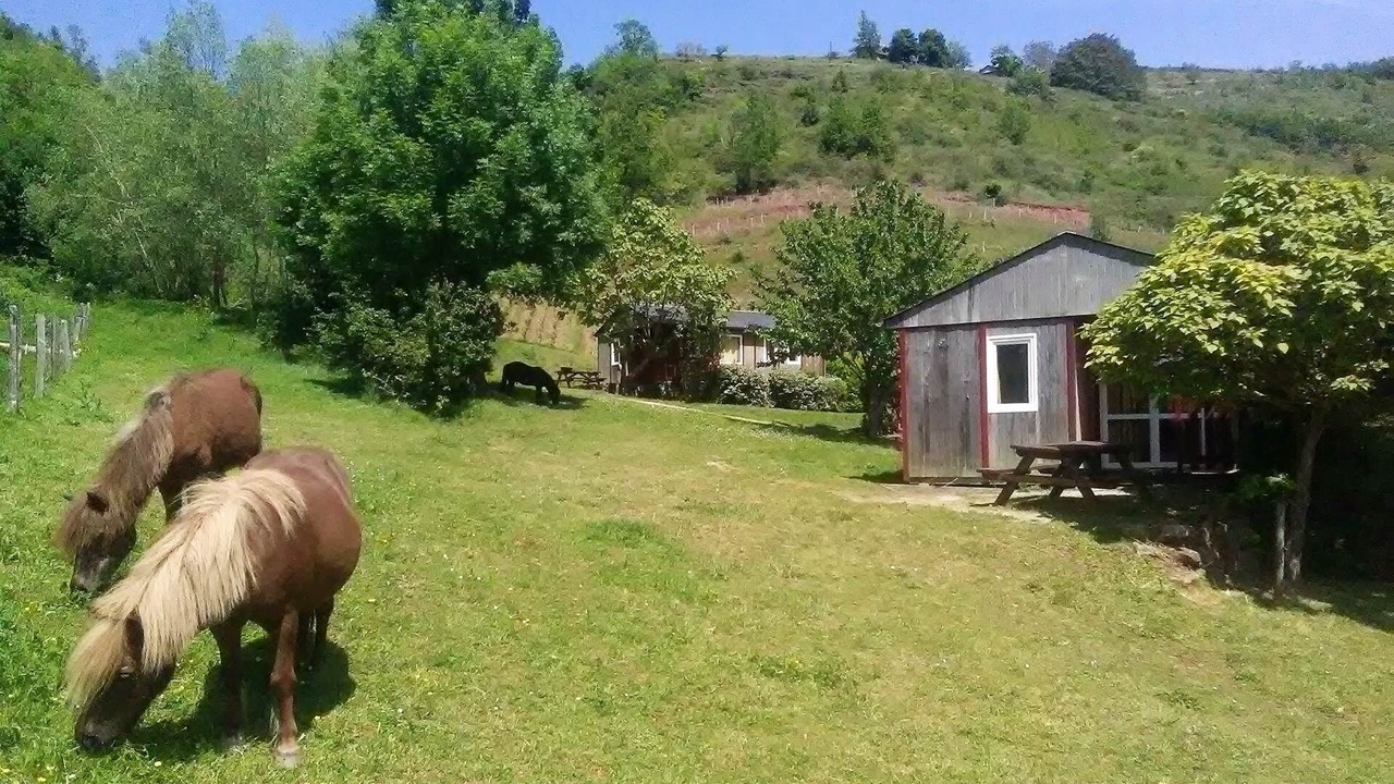 Photo of Others in Clairvaux-d'Aveyron