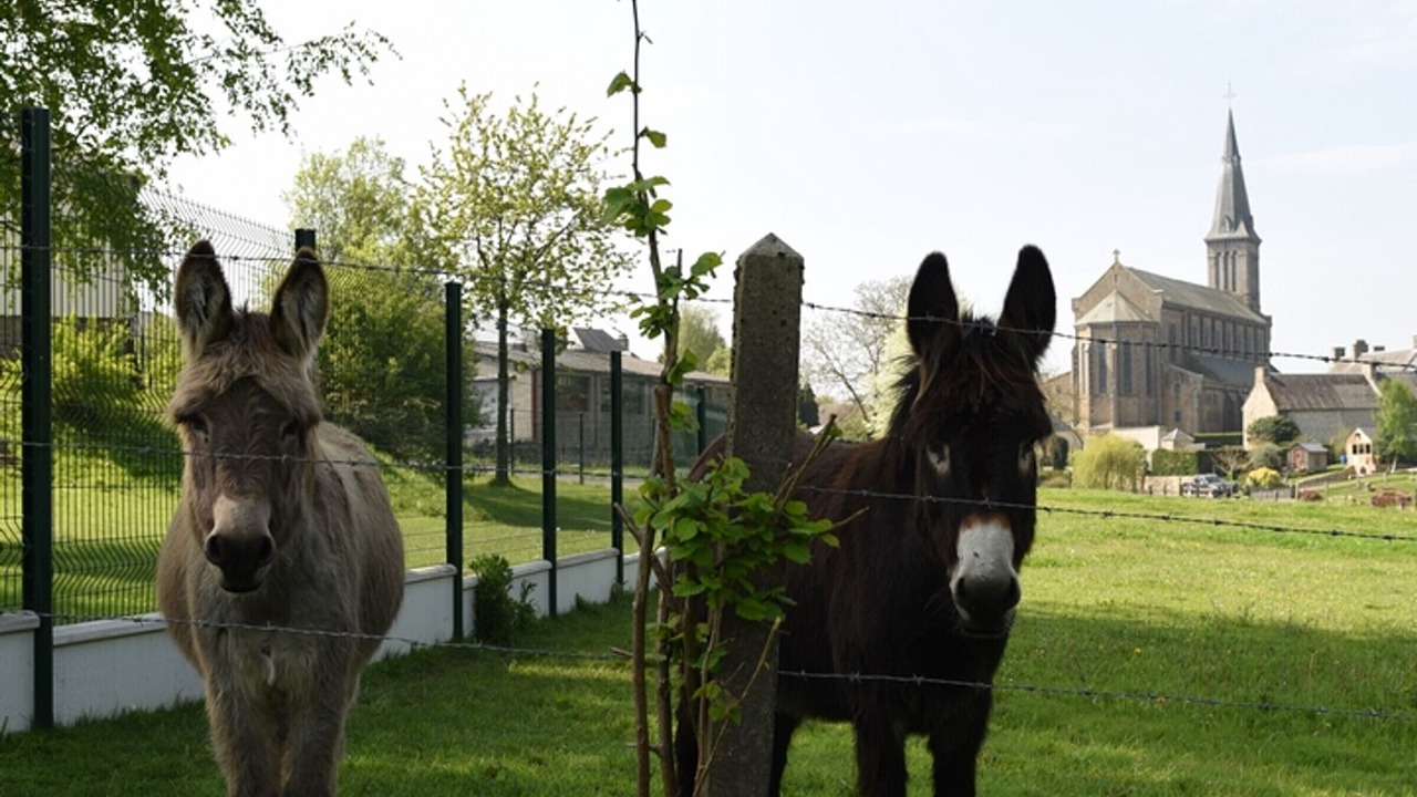 Photo of Others in Athis-Val de Rouvre