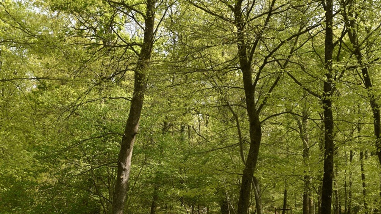 Photo of Outdoor in Athis-Val de Rouvre