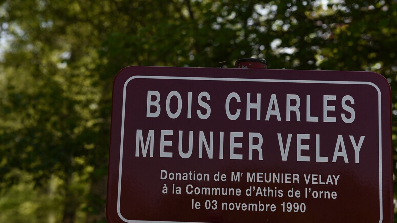 Photo of Others in Athis-Val de Rouvre