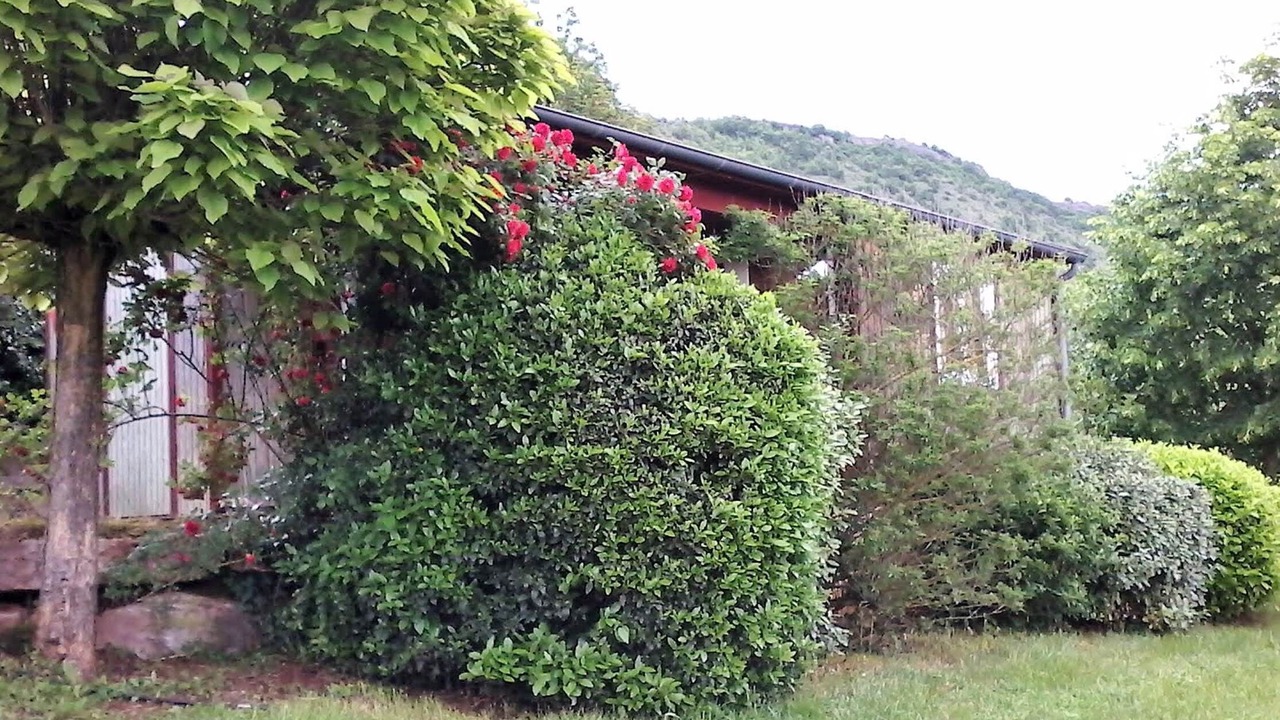 Photo of Others in Clairvaux-d'Aveyron