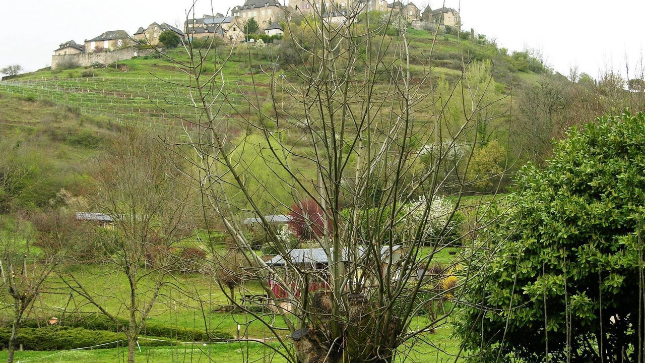 Photo of Others in Clairvaux-d'Aveyron