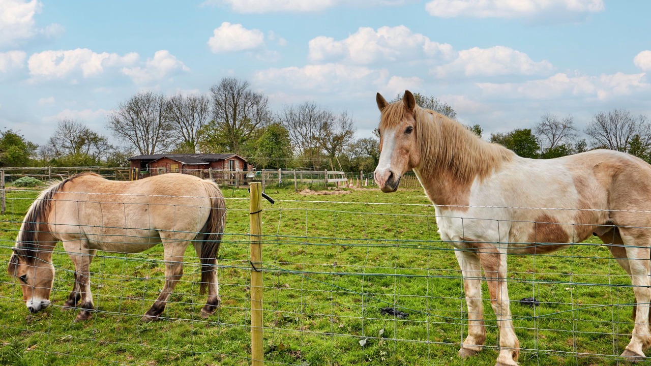 Photo of Outdoor in Hiesville