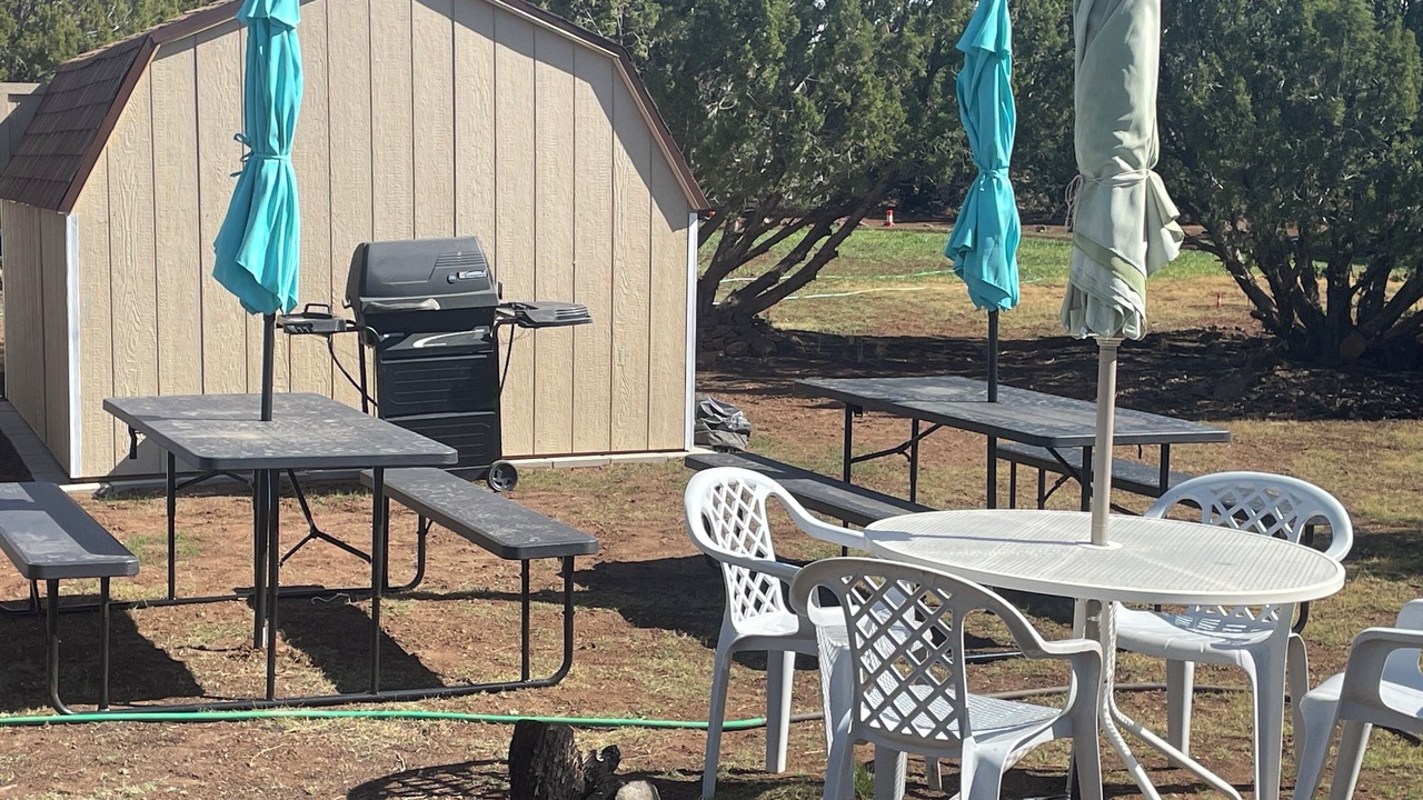 Photo of Outdoor in Springerville