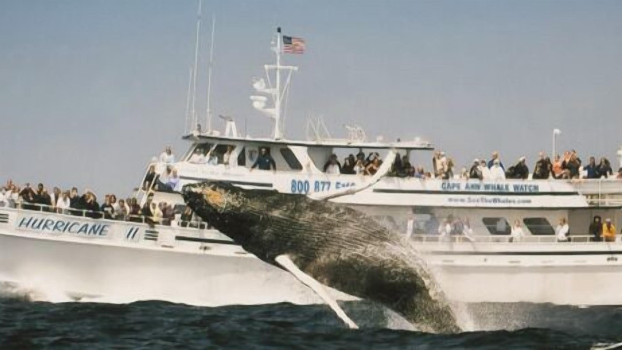 Photo of Others in Danvers