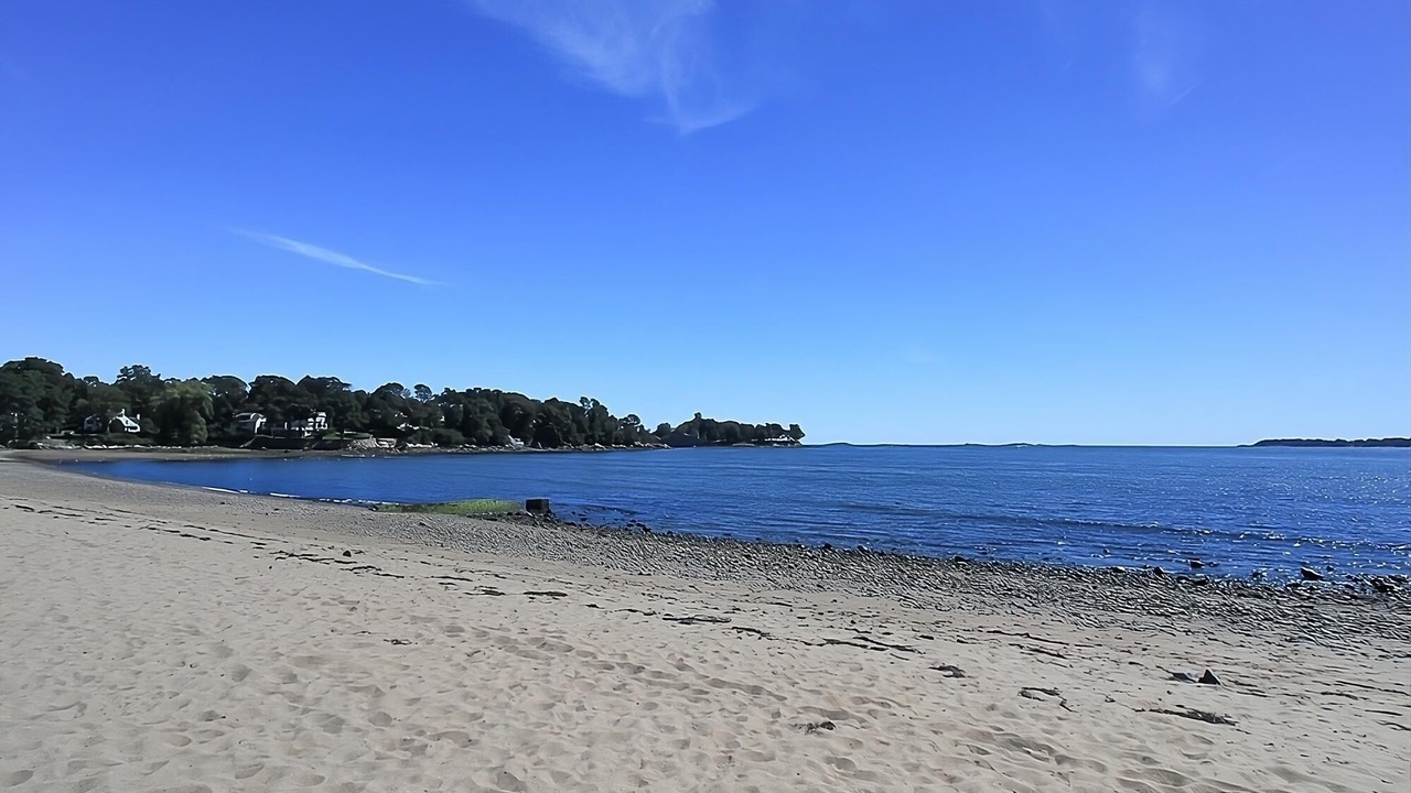 Photo of Others in Danvers