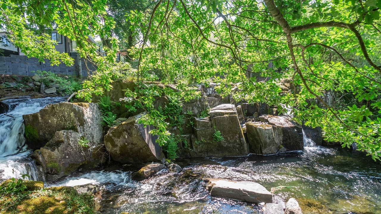 Photo of Others in Bethesda