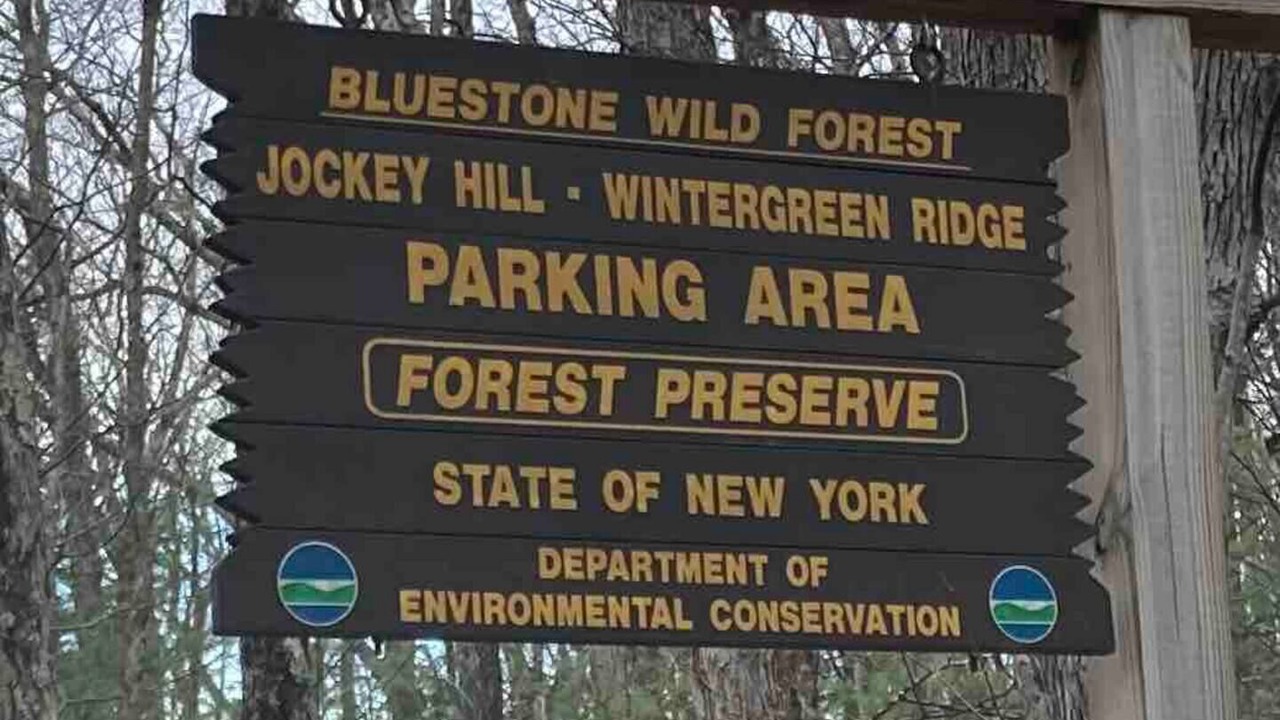 Photo of Others in Mount Marion