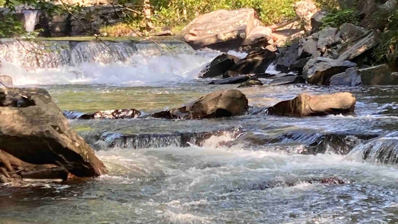 Photo of Others in Mount Marion