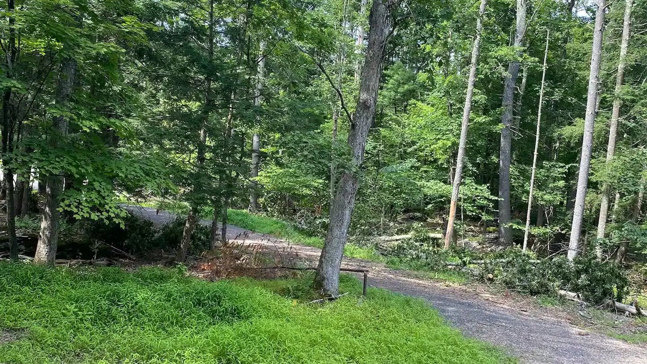 Photo of Outdoor in Mount Marion