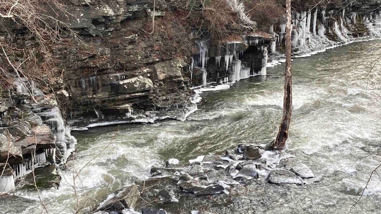 Photo of Outdoor in Mount Marion