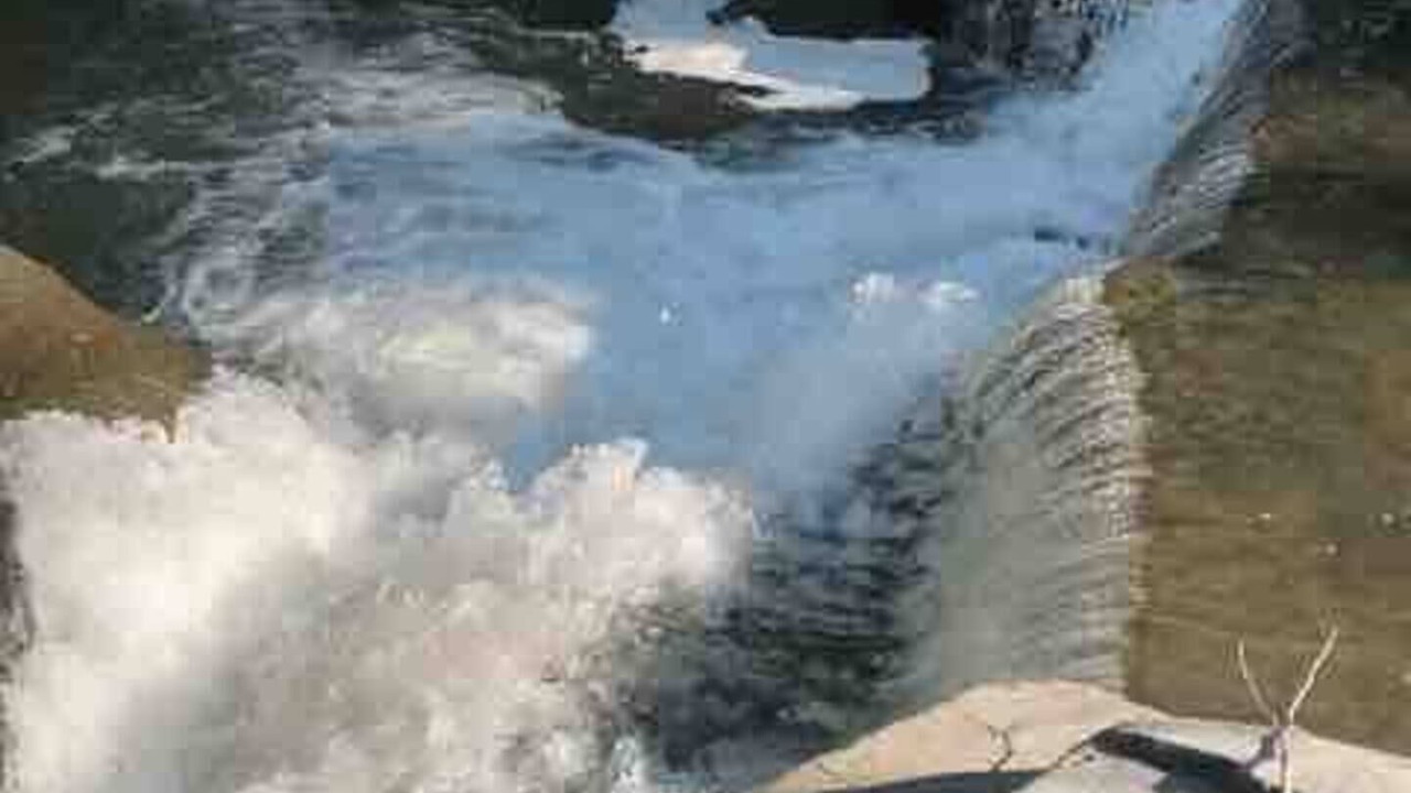 Photo of Others in Mount Marion