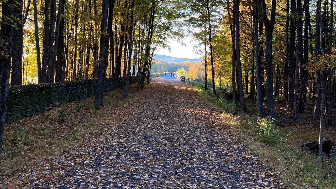 Photo of Outdoor in Mount Marion