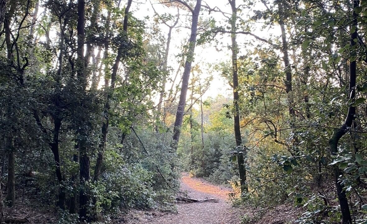 Photo of Outdoor in Les Conches