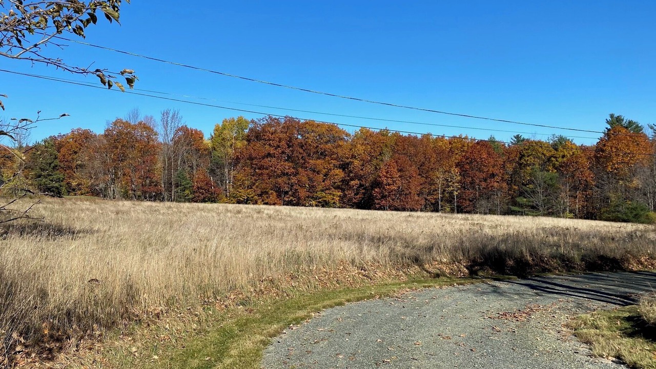 Photo of Others in Canaan