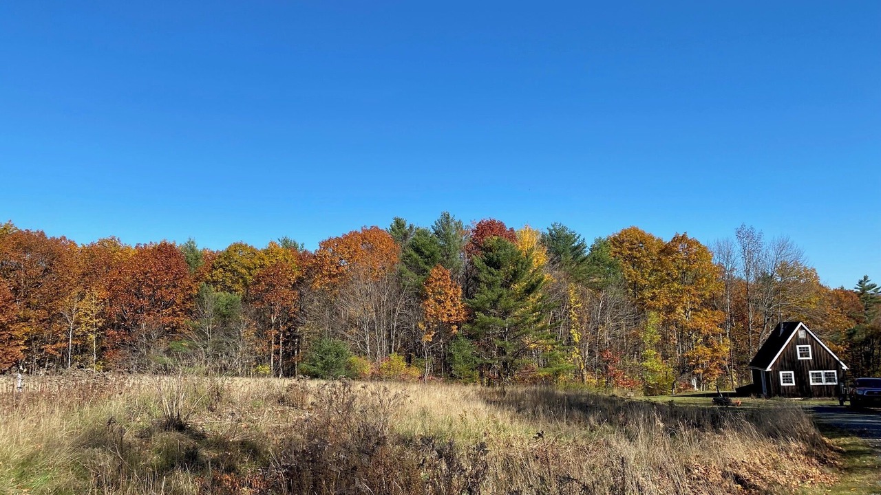 Photo of Others in Canaan