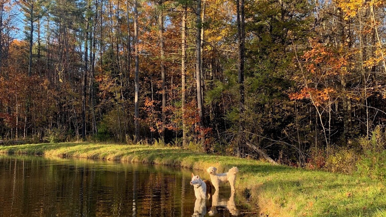 Photo of Others in Canaan