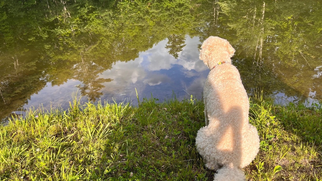 Photo of Others in Canaan