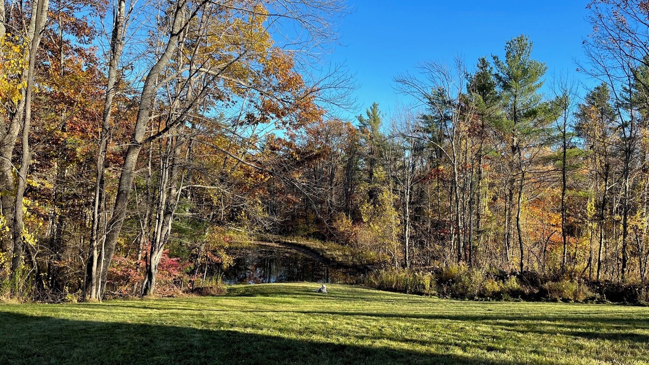 Photo of Others in Canaan