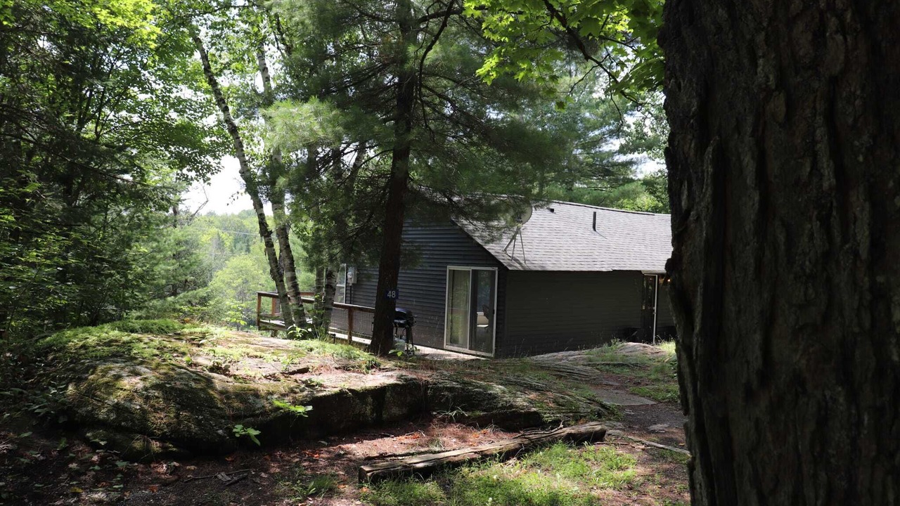 Photo of Outdoor in Minden Hills