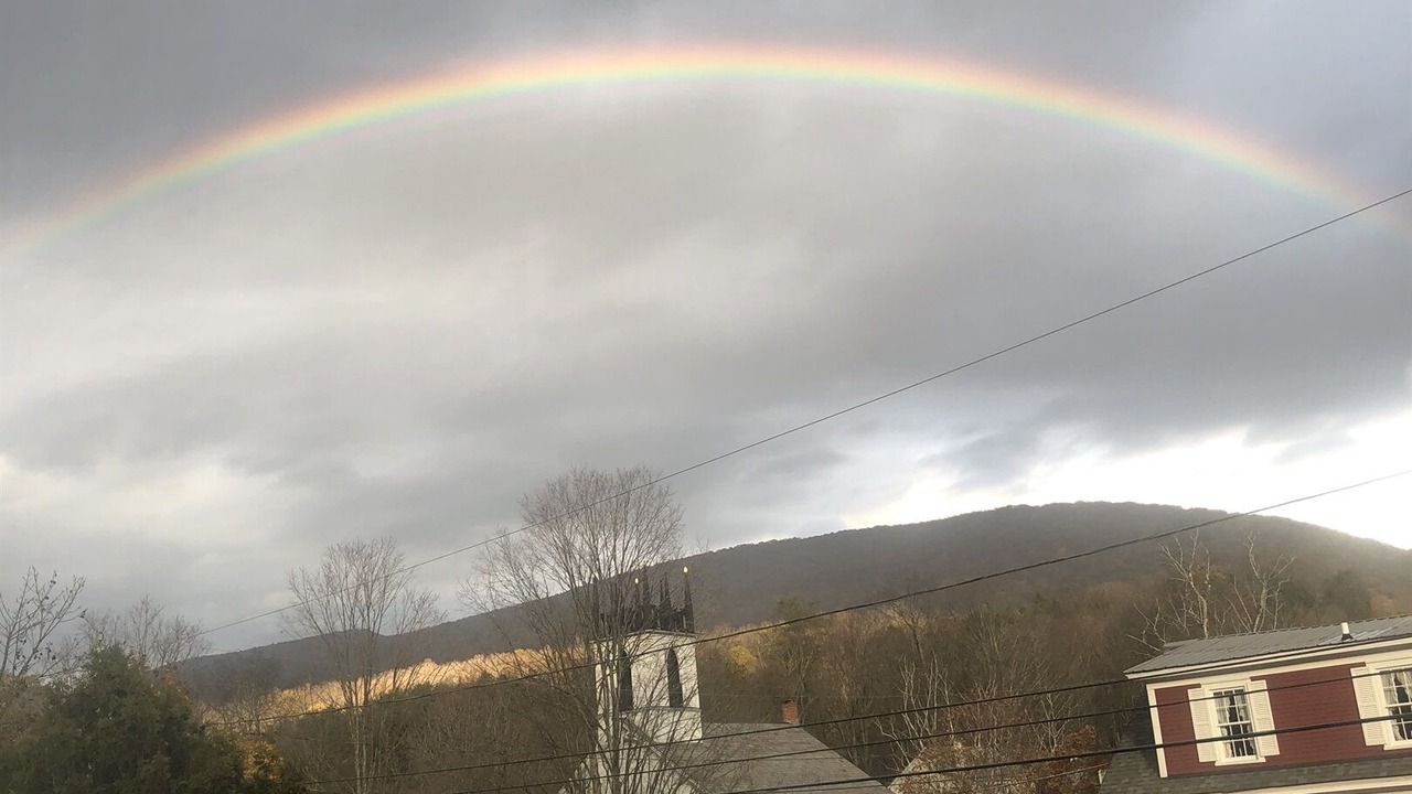 Photo of Others in East Dorset