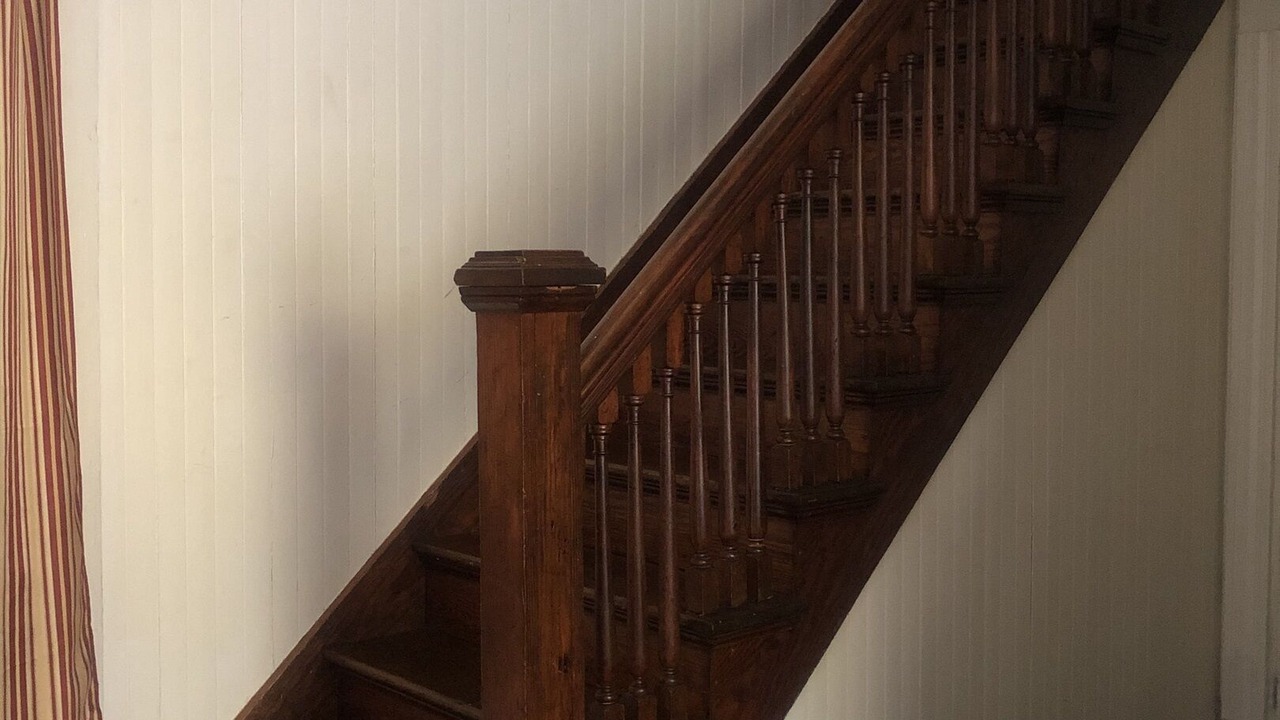 Photo of Others in East Dorset