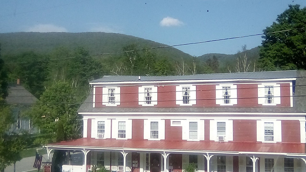 Photo of Others in East Dorset