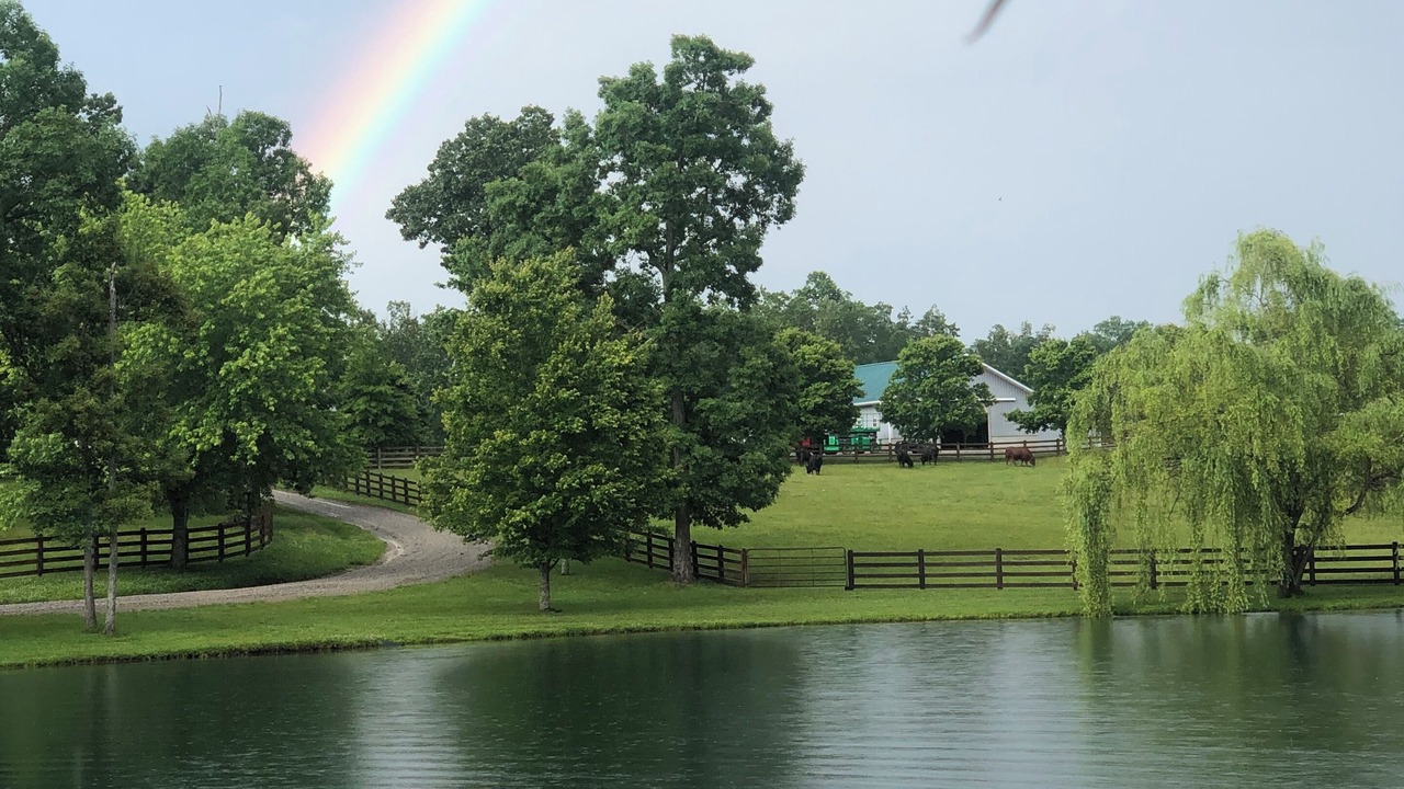 Photo of Others in Muddy Pond
