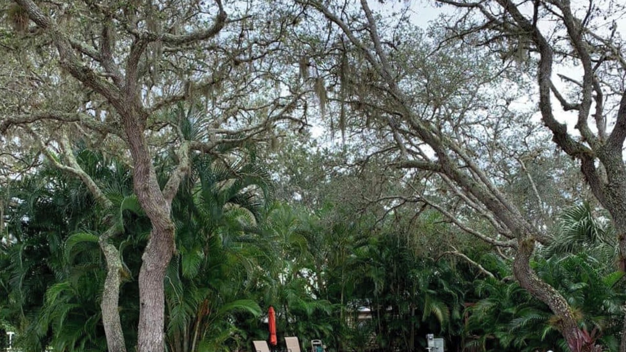Photo of Outdoor in River Ranch